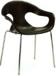 SUNNY SILLON. 